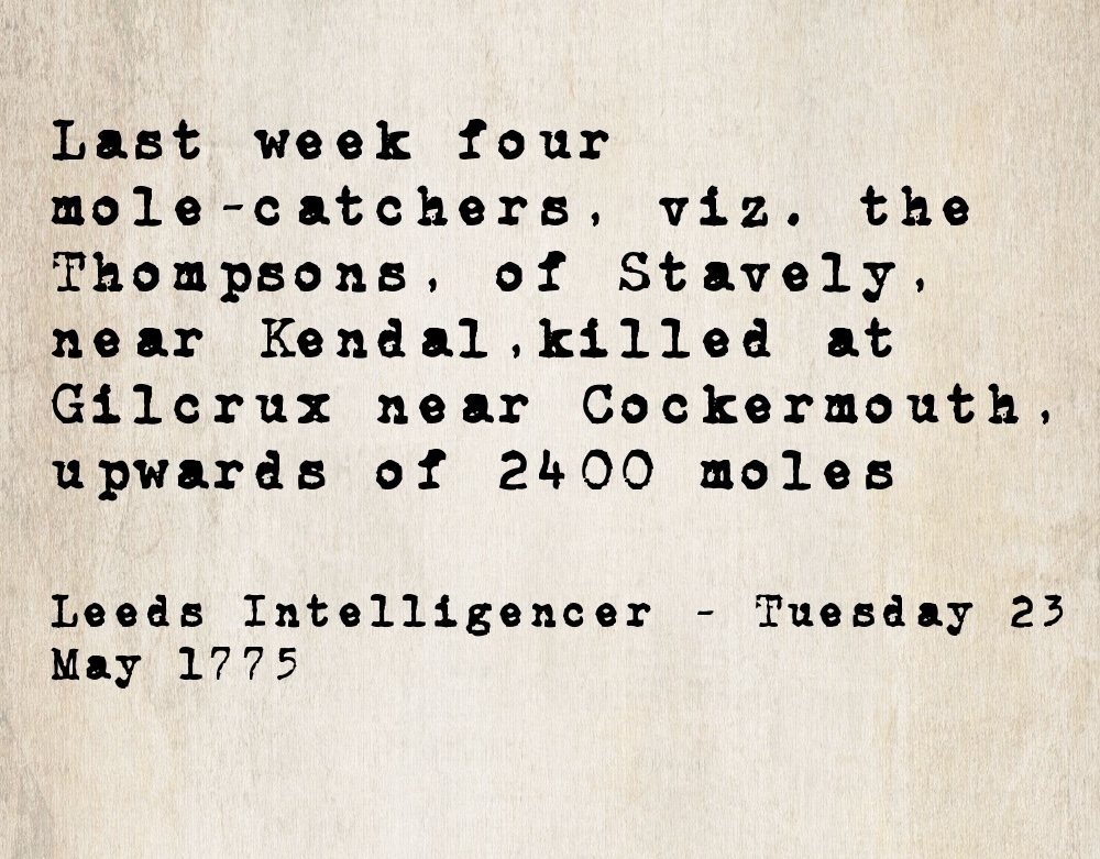 Transcribed newspaper item from the Leeds Intelligencer, 23 May 1775, reporting that four mole-catchers from Stavely killed over 2,400 moles at Gilcrux, near Cockermouth.