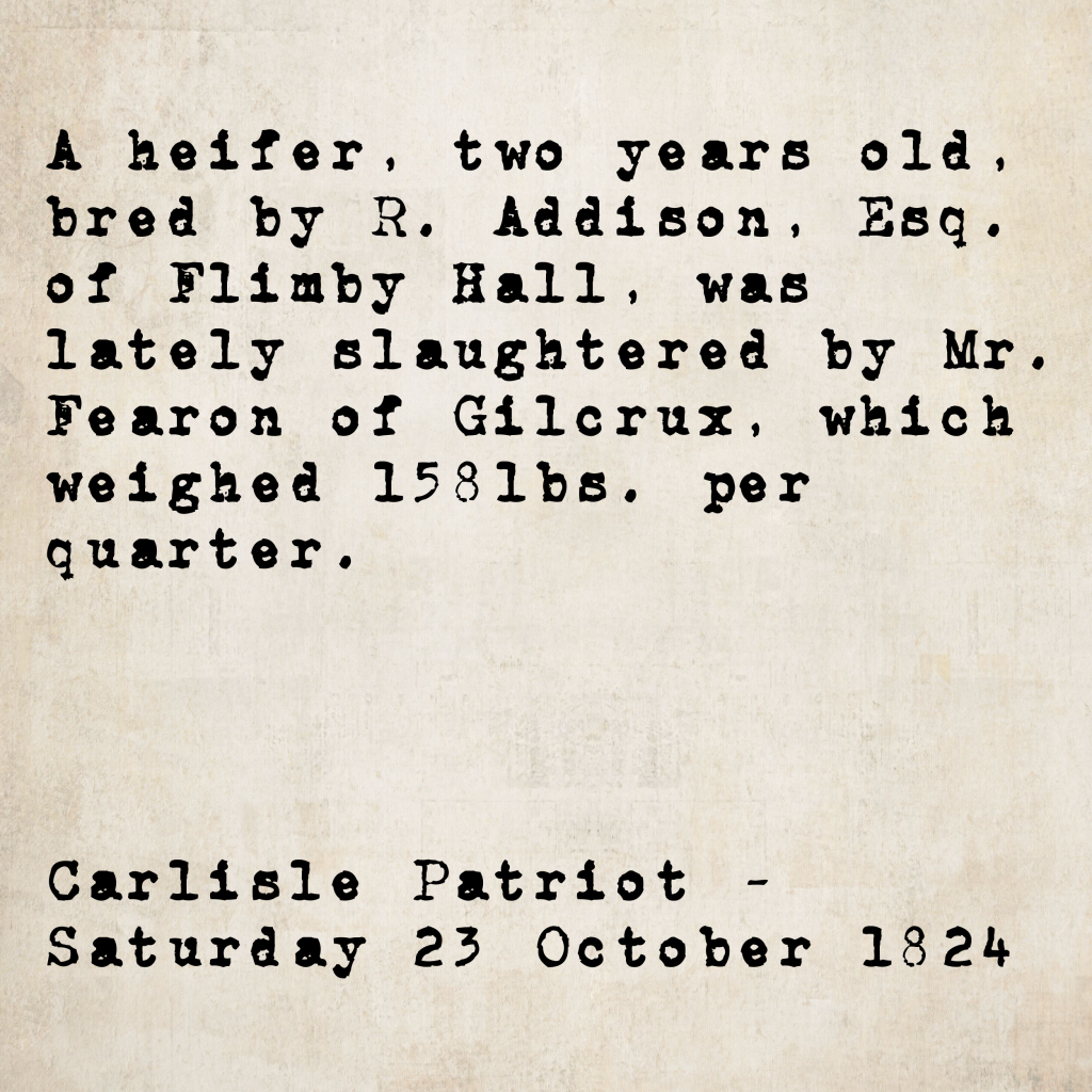 Agricultural notice from the Carlisle Patriot, 23 October 1824: a two-year-old heifer bred by R. Addison, Esq. of Flimby Hall, slaughtered by Mr. Fearon of Gilcrux, weighing 158lbs per quarter.