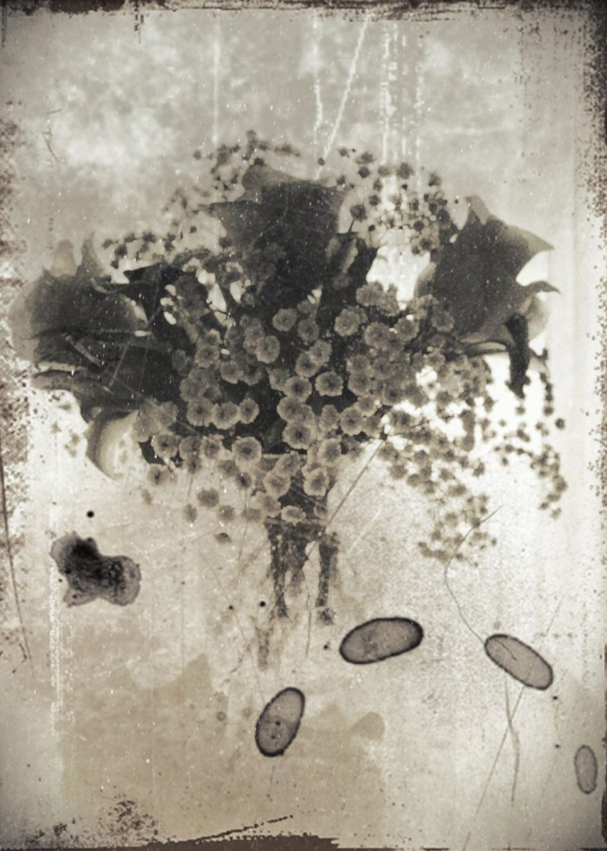 damaged photograph of a bouquet of flowers